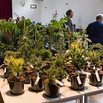 2021 - Prodejní zahrádkářská výstava v KD Koloveč