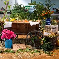 2021 - Prodejní zahrádkářská výstava v KD Koloveč