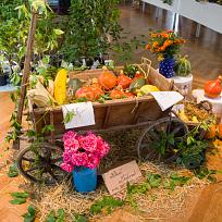 2021 - Prodejní zahrádkářská výstava v KD Koloveč