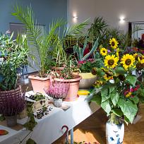 2021 - Prodejní zahrádkářská výstava v KD Koloveč