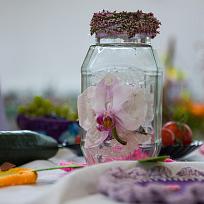 2021 - Prodejní zahrádkářská výstava v KD Koloveč