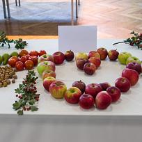 2021 - Prodejní zahrádkářská výstava v KD Koloveč