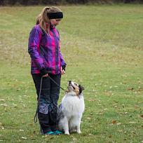 2021 - ZKO závody o Kolovečský pohár