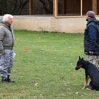 2021 - ZKO závody o Kolovečský pohár