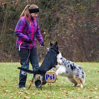 2021 - ZKO závody o Kolovečský pohár