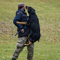 2021 - ZKO závody o Kolovečský pohár