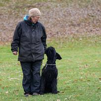 2021 - ZKO závody o Kolovečský pohár