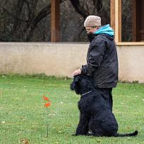 2021 - ZKO závody o Kolovečský pohár