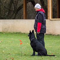 2021 - ZKO závody o Kolovečský pohár