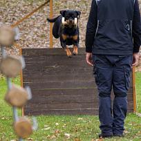 2021 - ZKO závody o Kolovečský pohár