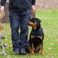 2021 - ZKO závody o Kolovečský pohár