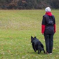 2021 - ZKO závody o Kolovečský pohár