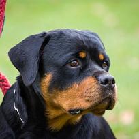 2021 - ZKO závody o Kolovečský pohár