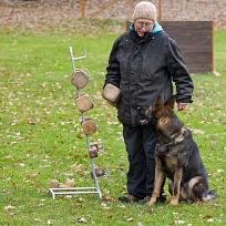 2021 - ZKO závody o Kolovečský pohár