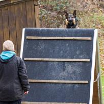 2021 - ZKO závody o Kolovečský pohár