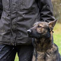 2021 - ZKO závody o Kolovečský pohár