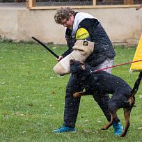 2021 - ZKO závody o Kolovečský pohár