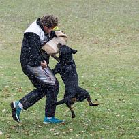 2021 - ZKO závody o Kolovečský pohár