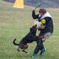 2021 - ZKO závody o Kolovečský pohár