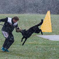 2021 - ZKO závody o Kolovečský pohár