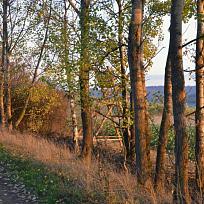 Posed - cesta Přikřice