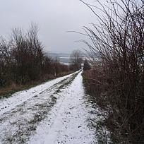 2016 - Zimní Koloveč