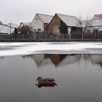 2016 - Zimní Koloveč