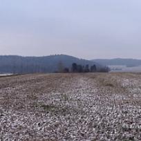 2016 - Zimní Koloveč