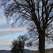 2016 - Zimní Koloveč