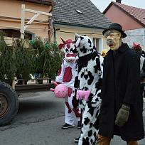 2016 - Masopustní průvod