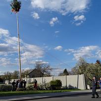 2016 - Stavění májky