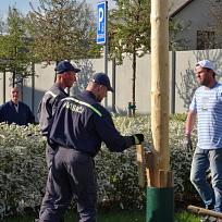 2016 - Stavění májky