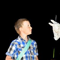 2016 - Pasování předškoláků