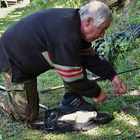 2016 - Jarní rybářské závody