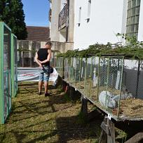 Chovatelská prodejní výstava drobného zvířectva