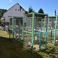 Chovatelská prodejní výstava drobného zvířectva