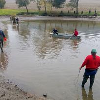 2016 - Výlov rybníka v Holci