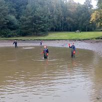 2016 - Výlov rybníka v Holci