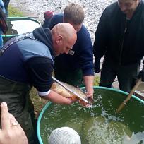 2016 - Výlov rybníka v Holci