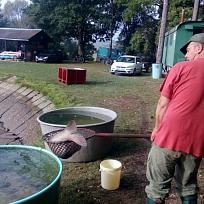 2016 - Výlov rybníka v Holci