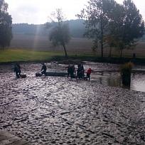 2016 - Výlov rybníka v Holci