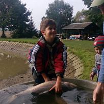 2016 - Výlov rybníka v Holci