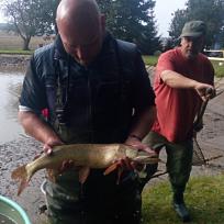 2016 - Výlov rybníka v Holci