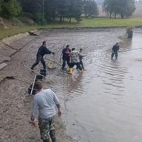 2016 - Výlov rybníka v Holci