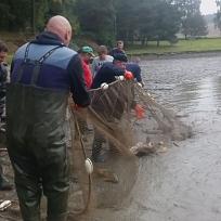 2016 - Výlov rybníka v Holci