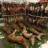 Zvěřinová tombola