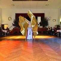 2017 - Myslivecký ples v KD Koloveč