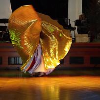 2017 - Myslivecký ples v KD Koloveč