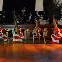 2017 - Myslivecký ples v KD Koloveč