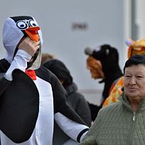 2017 - Masopustní průvod